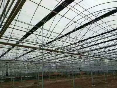奥农苑温室 薄膜连栋温室大棚的现代农业解决方案