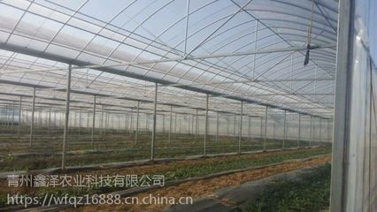 汕头生态简易连栋薄膜温室厂家批发 大棚薄膜与现代农业的结合