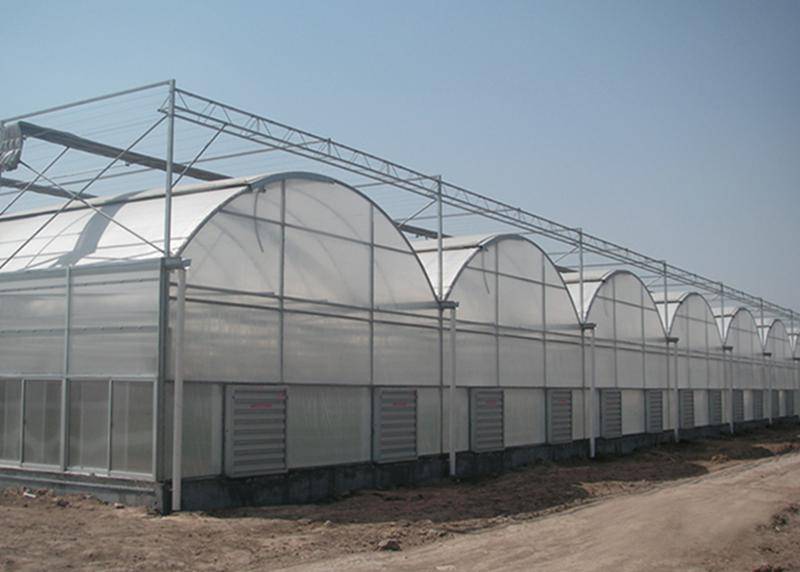 鑫泽农业薄膜温室大棚 打造绿色高效的现代蔬菜种植模式
